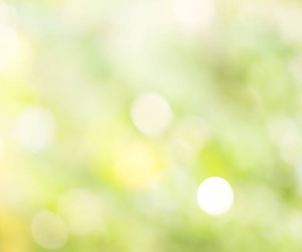 istock blur colorful abstract background in green and yellow 476751430