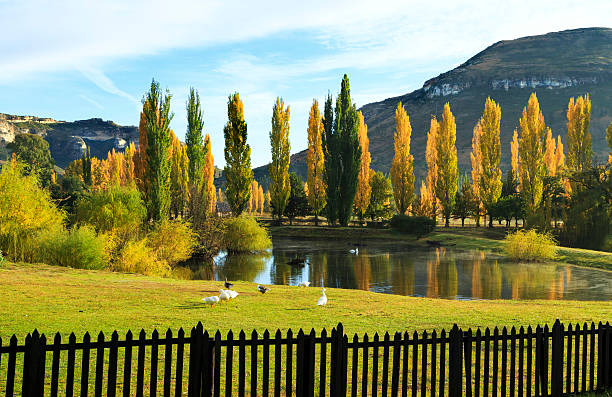 Autumn landscape with yellow trees and pond