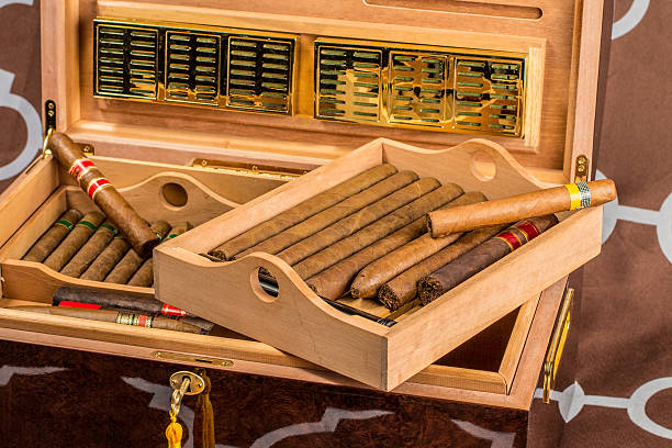 large Cigar Humidor 4 A large cigar humidor showing off a selection of smokes with the lid open. cigars stock pictures, royalty-free photos & images