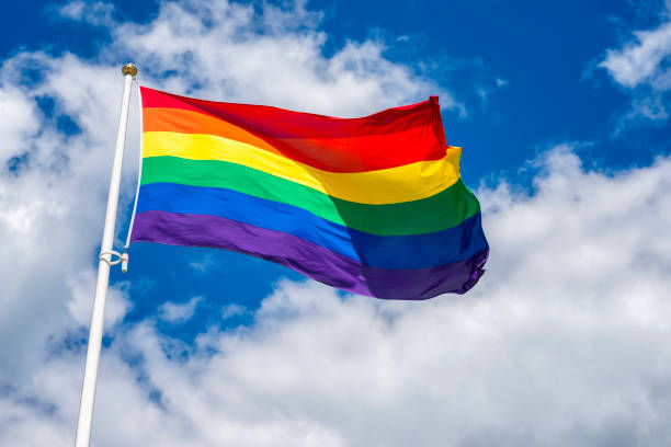 hbtq 플래깅 - symbols of peace flag gay pride flag banner 뉴스 사진 이미지