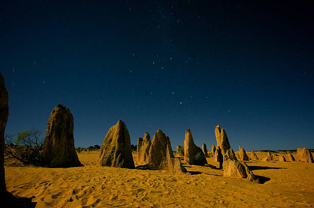 istock Night scene in Nambung National Park 476759162
