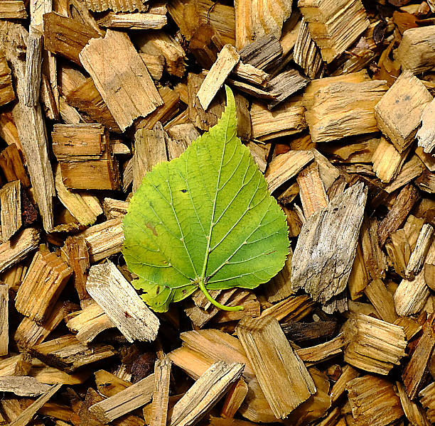 Green on brown stock photo