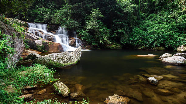 Waterfall Waterfalls of Paraty - Brazil. Paraty is a preserved Portuguese colonial (1500â1822) and Brazilian Imperial (1822â1889) municipality of Rio de Janeiro State. paraty brazil stock pictures, royalty-free photos & images