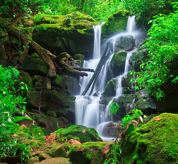 istock Beautiful  waterfall  asia thailand 476763615