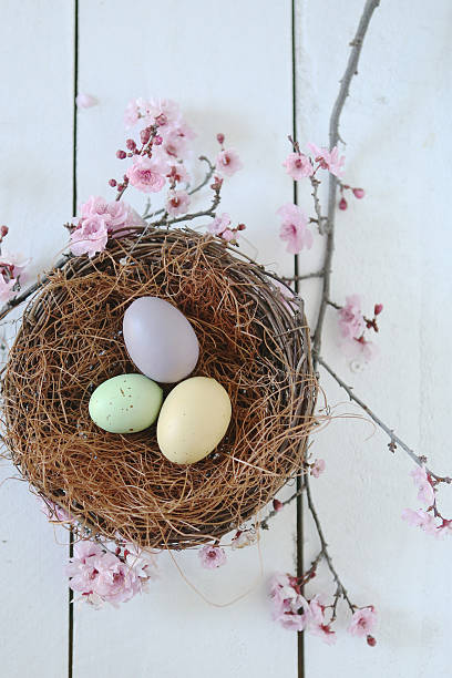 istock Holiday Themed Still Life Scene in Natural Light With 476766943
