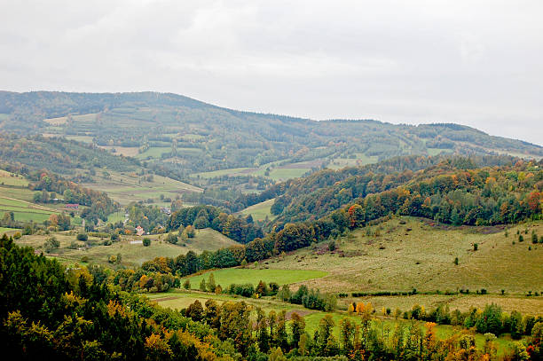 istock Beautiful southern Poland landscape 476767859