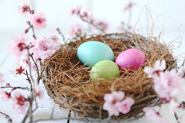 istock Bright Eggs Holiday Themed Still Life Scene in Natural Light 476769123