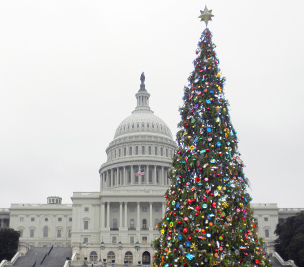 US Capitol with Christmas Tree
