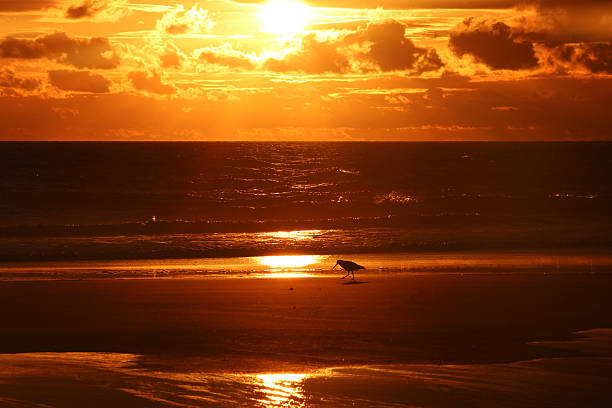 istock Sunrise at the beach 476771534