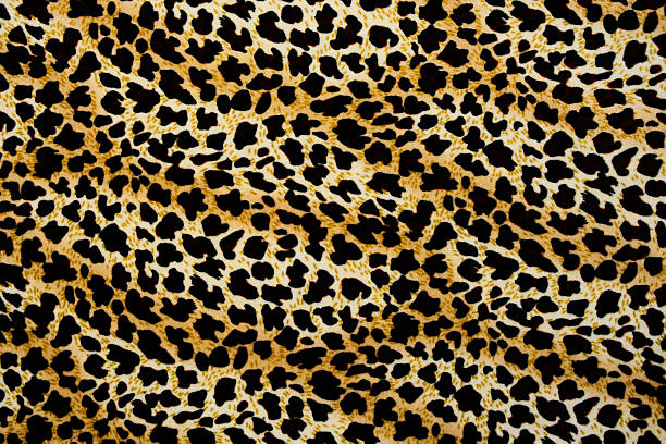 istock texture of print fabric stripes leopard for background 476772074