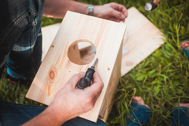 Male hands with wooden birdhouse stock photo