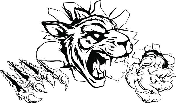 Tiger Skin Tattoo Illustrations, Royalty-Free Vector Graphics & Clip Art -  iStock