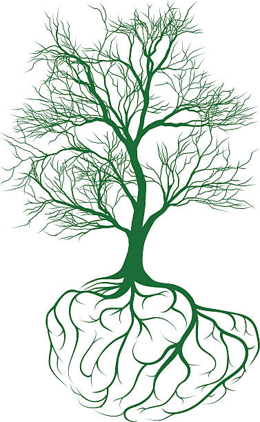 脳の木に根 - origins oak tree growth plant点のイラスト素材／クリップアート素材／マンガ素材／アイコン素材