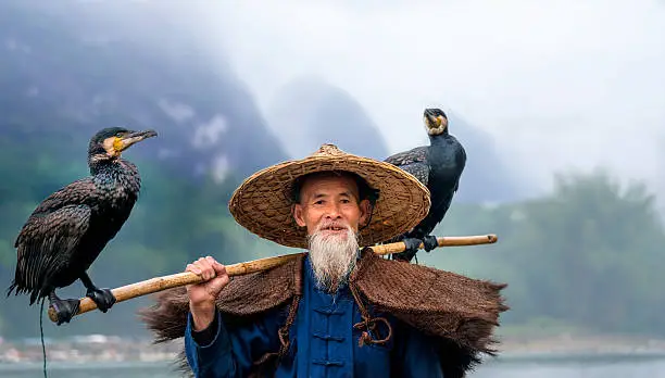 Traditional Chinese 75 year old senior fisherman in traditional clothes and bamboo hat on his wooden fishing raft with two cormorants fishing on the Li River in the early morning fog light at sunrise. Shot at Xing Ping, close to the city of Yangshuo County, Guangxi, Guilin, China.