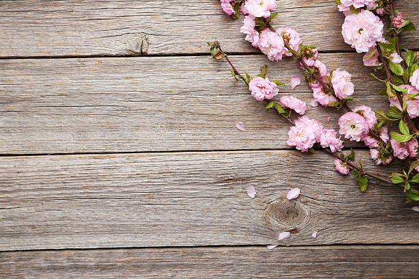 istock Spring flowering branch on grey wooden background 476775940