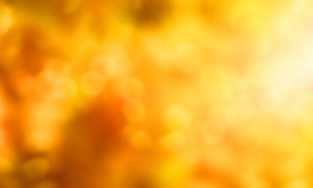 Abstract background autumn season
