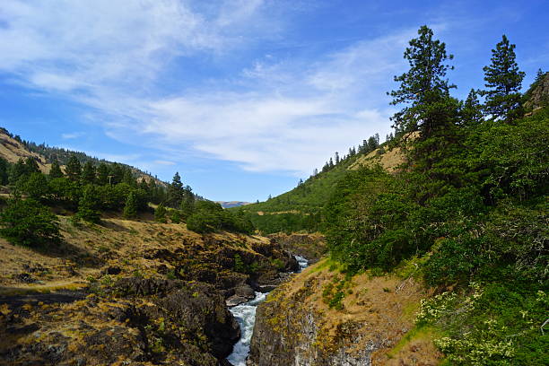 Southern Washington's Cascade Range.