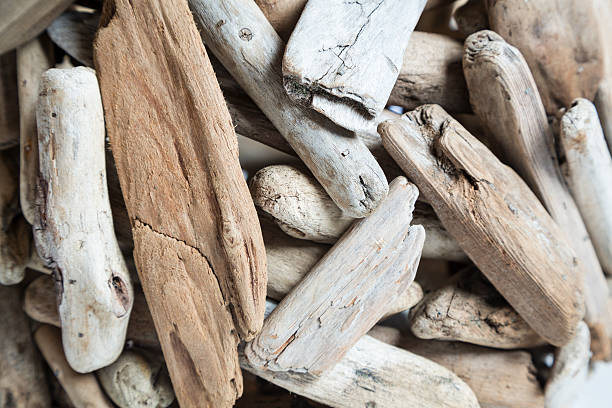 istock Pile of Driftwood 476777324