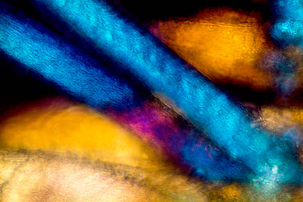 istock Abstract micrograph of muscle tissue from a bumble bee. 476777478