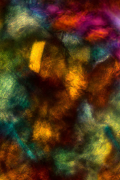 istock Abstract micrograph of muscle tissue from a bumble bee. 476777482