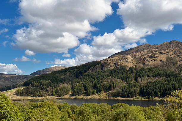 campo escocés con hills, woodland y loch - glen trool fotografías e imágenes de stock