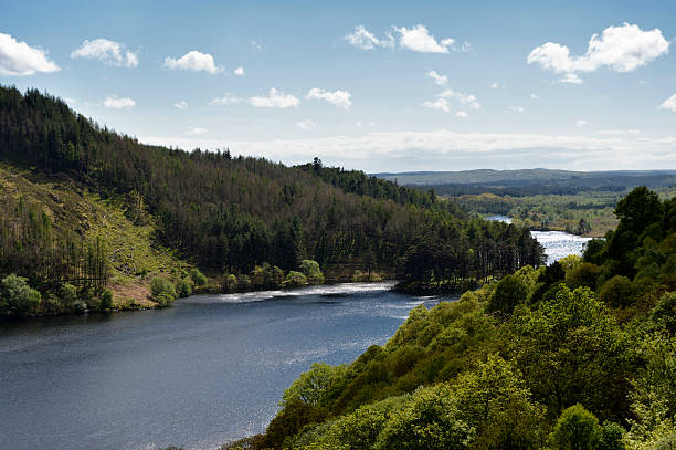 campo escocés con hills, woodland y loch - glen trool fotografías e imágenes de stock