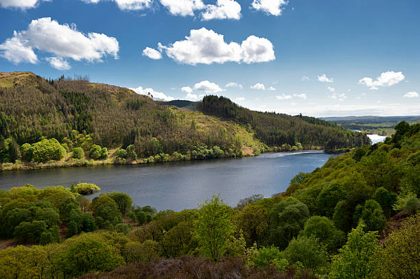 campo escocés con hills, woodland y loch - glen trool fotografías e imágenes de stock