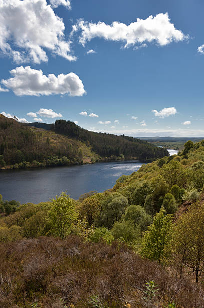 campo escocés con hills, woodland y loch - glen trool fotografías e imágenes de stock