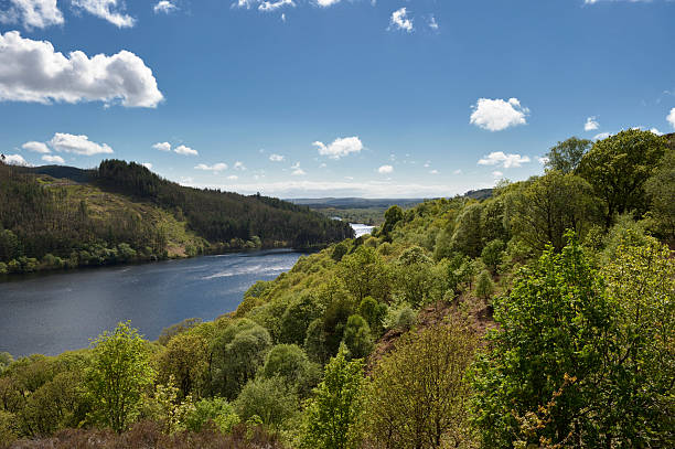 campo escocés con hills, woodland y loch - glen trool fotografías e imágenes de stock