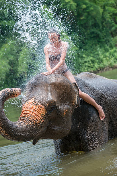 istock Woman bathing with an Elephant 476778034