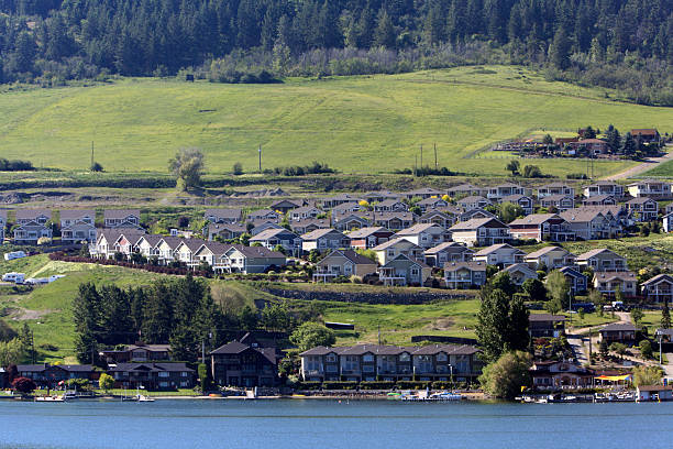 istock Lakeside Residential Development With Green Land And Trees 476781618