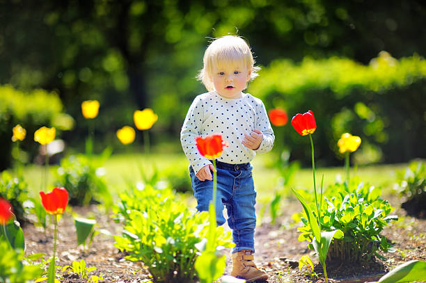 istock Toddler boy walking in the garden 476783954