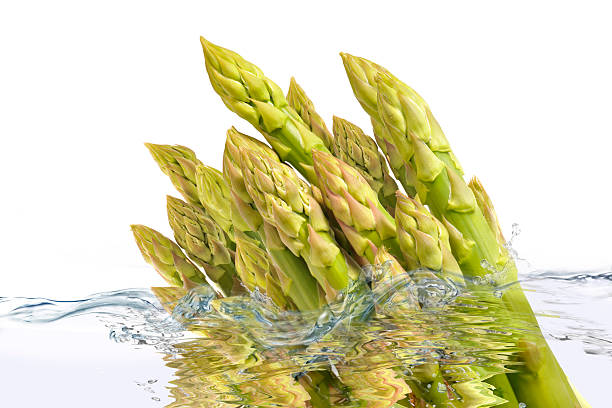 Asparagus