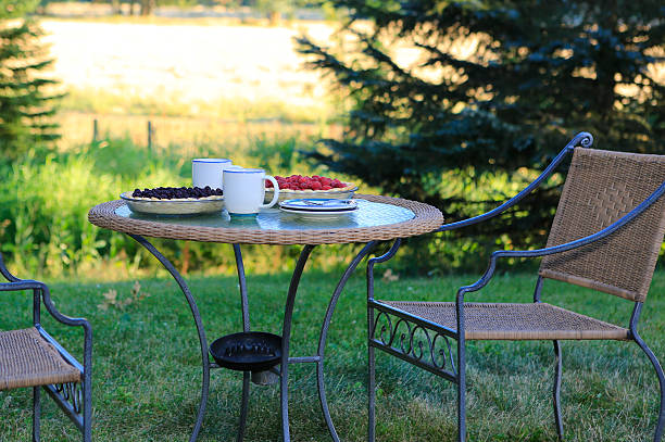 Enjoying countryside life. Wonderful summer morning