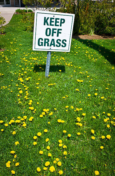 istock Keep off the grass or lawn sign. 476790198