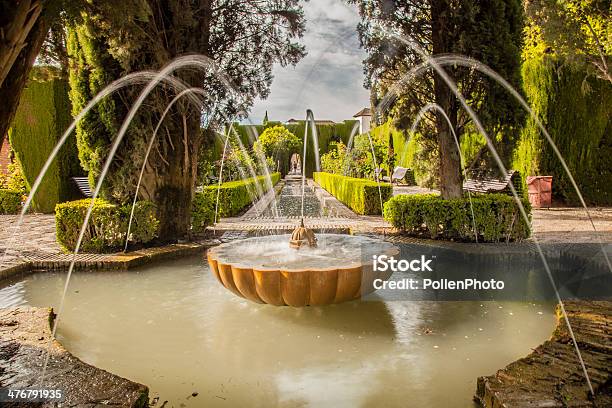 Al Hambra Palace Stock Photo - Download Image Now - Alhambra - Spain, Courtyard, Water