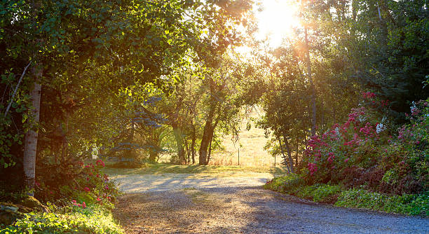 istock Beautiful morning countryside landscape 476793831