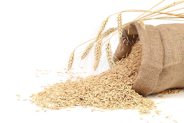 istock Sack with grains and ear of wheat. 476798471