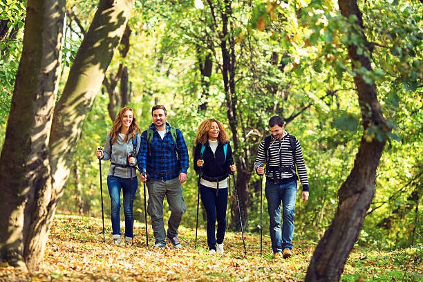 istock Friends hiking in forest together. 476798643