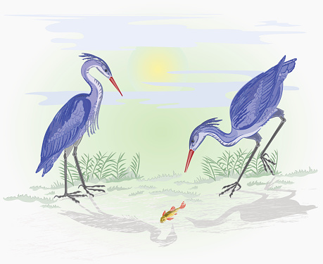 Herons on the hunt vector