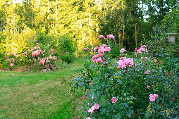 istock Flourishing farm backyard 476805017