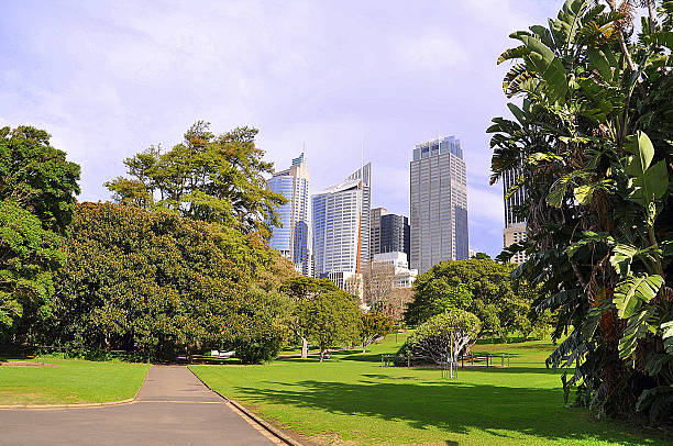 istock Sydney CBD amongst nature 476805544