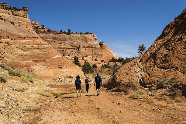 istock Hiking the Sandstone Cliffs of Utah 476809610