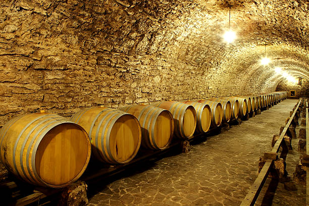 vecchia cantina dell'azienda vinicola botti di vino in futuro - bottling plant winery wine industry foto e immagini stock