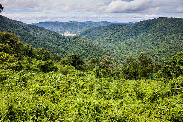 istock Khao Yai National Park 476815777