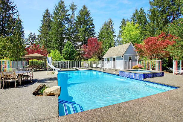 istock View of backyard with swimming pool 476816255