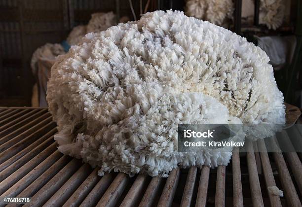 Fleecewolle In Wolle Classing Tisch Stockfoto und mehr Bilder von Wolle - Wolle, Fleece-Stoff, Schaf