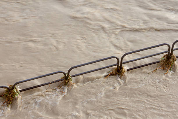 inundado caminho - calgary flood alberta natural disaster - fotografias e filmes do acervo