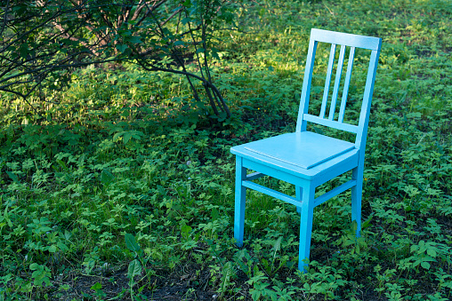 empty blue vintage chair on green garden meadow