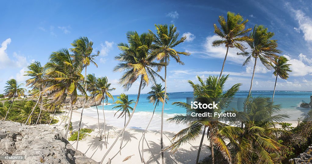 Bottom Bay Bottom Bay is one of the most beautiful beaches on the Caribbean island of Barbados. It is a tropical paradise with palms hanging over turquoise sea. Wide panoramic photo Palm Tree Stock Photo